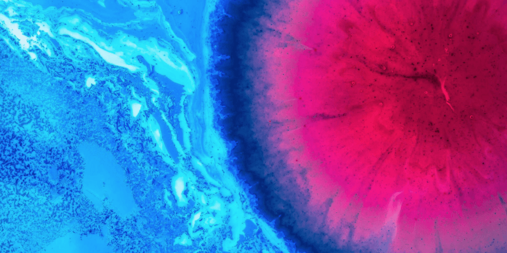 DEEP LEARNING EXOPLANET ATMOSPHERIC RETRIEVAL WORKFLOW